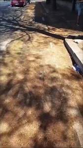 🛑Degrado Capitale‼️Eur Ciclabile via dell’Oceano Indiano inutilizzata e lercia come non mai‼️ Thank you Virginia‼️ | Dillo a Noi Roma