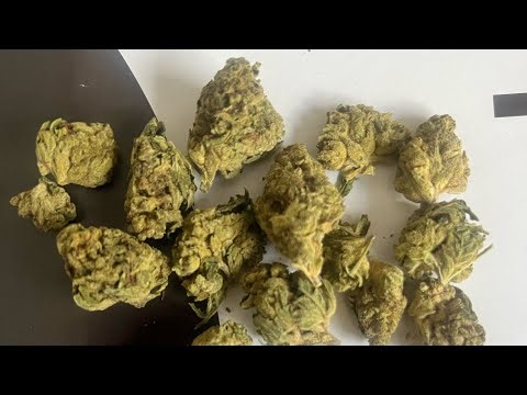 JK Distro🍌Banana Punch🥊 QP Strain, THCA Flower Review 💨 ⛽️ 🔥