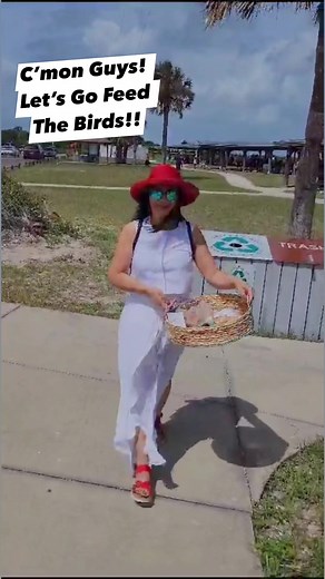 1.7K views · 155 reactions | Going to feed the birds (seagulls) at Little Talbot Island State Park, Jacksonville, Florida #talbotisland #jacksonvilleflorida #jacksonvillestatepark #facebookreels #reelsviral #endofsummer #beautifulday #fypシ゚viralシ | Orient Pearl Vlog | Facebook