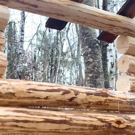 Building An Off Grid Log Cabin Alone Cutting Door And Window In Rafters | Mountain Cabins