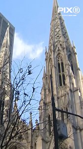 18 reactions · 28 comments | Leaders at St. Patrick’s Cathedral are claiming they were “tricked" into holding a funeral for a transgender activist. Read more: https://pix11.com/news/morning/st-patricks-cathedral-claims-it-was-tricked-into-holding-funeral-for-transgender-activist/ | PIX11 | Facebook