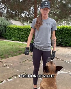 113K views · 3.1K reactions | Same behavior+different movement=new...