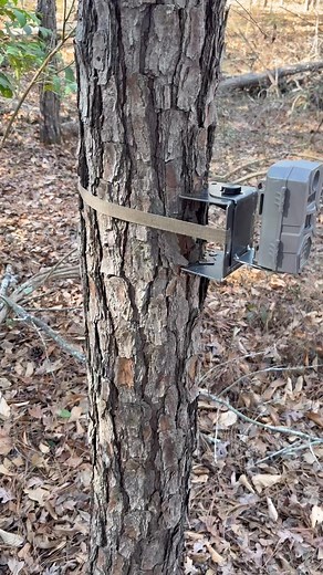 Fixed and Adjustable trail cam tree and tee post brackets now available. Message me if you’re interested. #deerhunting #trailcam #hunting | G & K Speciality Welding, LLC