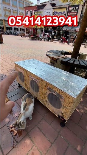 Kedi kulübesi kedi yuvası kedi evi 05414123941 #kedi #kedievi #kediyuvası #kediseverler