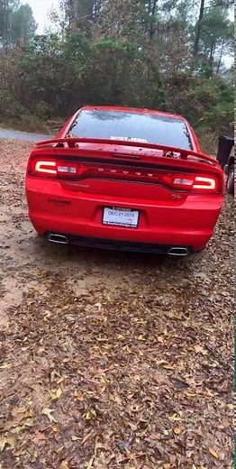 2014 Dodge Charger R/T HEMI Cold Start