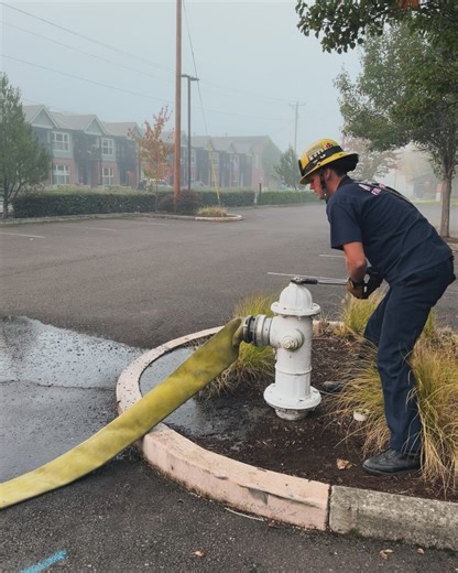 Albany Fire Department on Reels