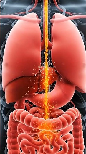 What Happens When You Drink Fanta? | Realistic Inside Body View (4K)