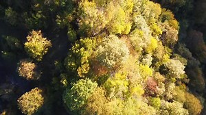 Glamping Georgia now.... | Glamping Georgia