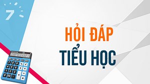 Hôm nay là thứ ba thì 100 ngày sau là thứ mấy? - Linh Phương