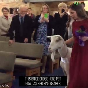 20K views · 18 reactions | What A Strange Wedding... | Storytrender | Facebook