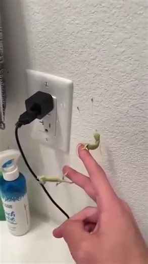 Baby Chameleons helping with pest control 😳 | Classic Cartoons