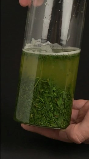 How to cold brew green tea 🍵 #coldbrew #coldbrewtea #japanesetea #japanesegreentea | Nio