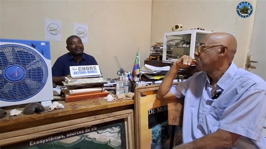 2.4K views | BASRA ENCYCLOPÉDIE 直 La Limonite La limonite est un...