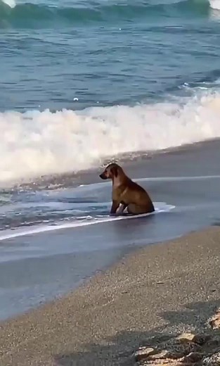 This is beautiful! | Simply Beautiful