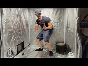 Richya 4x4 Grow Tent Review 2023
