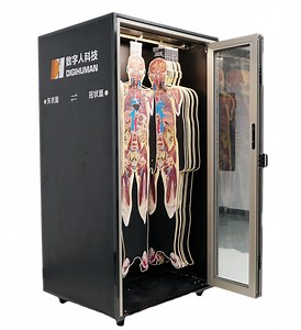 [Hot Item] in-Int Dp Science 3D Anatomy Digital Human Anatomy System Virtual Anatomy