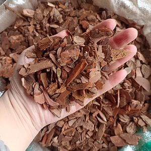[Hot Item] Different Size Natural Pine Bark Mulch for Plants & Landscaping