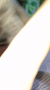 Good morning po..Morning routine ni Maya maglaro sa umaga.. | Team Mama & Maya