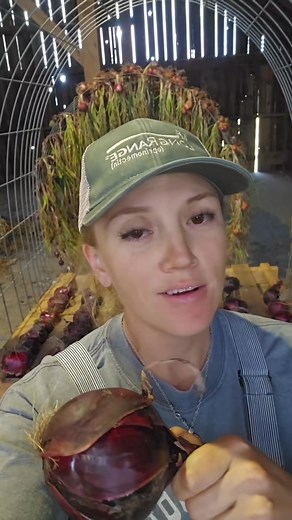 Curing onions on my inventions #curingonions #homesteadstuff #gardenhacks #homesteadhack | Modern Homesteading w/ Tessa