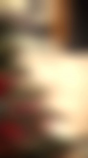 2025 WCHS Festival of Trees #wrightcountyhistoricalsociety #wchsfot2024 | Wright County Historical Society