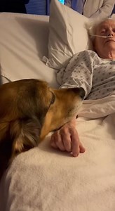 296K views · 6.7K reactions | No one warned the staff that love might...