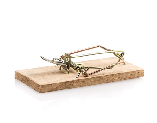 Watch a clever mouse outsmart a mousetrap