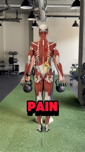 🔵Graded exposure is a therapeutic approach commonly used to manage lower back pain. It involves gradually introducing the spine to various movements and loads to increase tolerance without exacerbating symptoms. This method is based on the principle that slowly exposing the body to more demanding physical activities can help desensitize the nervous system to pain and improve functional capacity. ✅Applying Graded Exposure to Lower Back Pain: 1. Flexion, Rotation, and Extension: Start by gently i