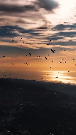 Migratory birds above Aley heralding Spring ✨🌅 📸 @maherbarake #WeAreLebanon | We Are Lebanon