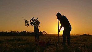 Take our poll: Before starting an outdoor spring project that requires digging, how far in advance should you call 811 for utility locates? | Evergy