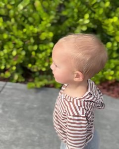 We go on a dangerous tour of the Florida Everglades! We get up close & personal with wild birds, snakes, & ALLIGATORS! 🐊 | Plant Based Gabriel