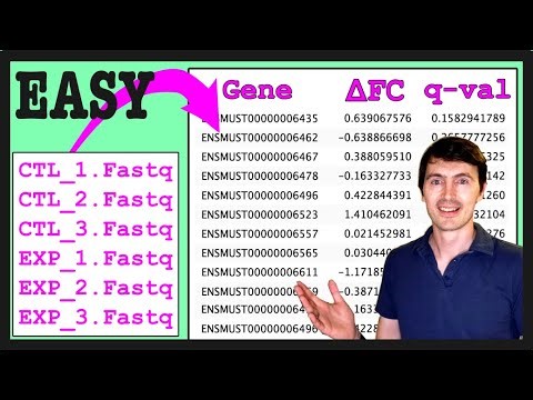 How to do RNA-seq analysis in 2025 | Minimap2 - Samtools - Salmon -DEseq2
