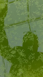 54K views · 682 reactions | Cơ hội cực lơn, nhưng mà không dễ! #startup #khoinghiep #trongtrot #channuoi #sadu | Sadu Tốt Mà Ngon | Facebook