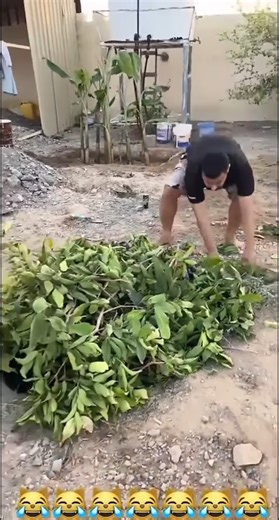 Abdu Vlog on Reels