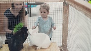 Jeune belle mère avec une petite : vidéo de stock (100 % libre de droit) 1010821361 | Shutterstock