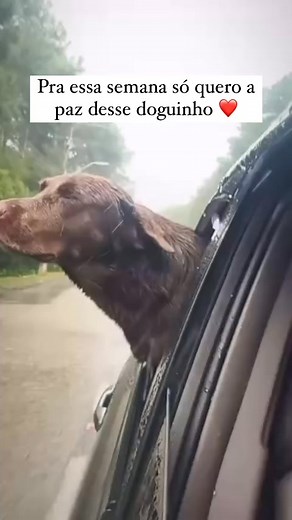 💛❤️🩵🧡🩷💜💚💙 "Bom dia!!! Feliz e abençoada semana!!!" | Bom Dia Com Alegria