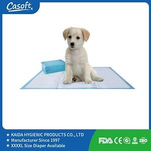 [Hot Item] Non Woven Casoft Breathable Softcare Nursing Pet Disposable Underpad Products Supply Russia Manufacturer