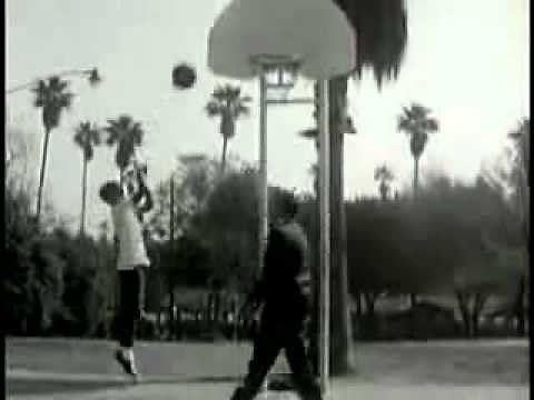 1950s Education on Homosexuals