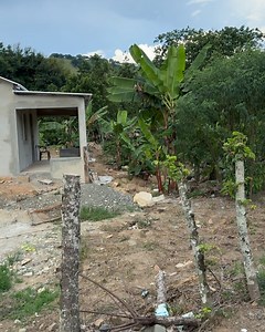 1.3K views | Stormy Wellington on Reels | Facebook