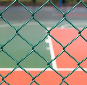 [Hot Item] Powder Coated Steel Fence Heavy Gauge Wire Mesh / Black Welded Wire Fence Panels / Clear Vu Shutter Mesh for Garden School