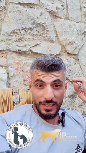 Positivepethouse على TikTok