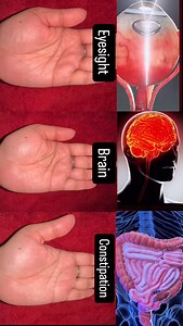 12K views · 20K reactions | Practice these Mudra to get benifit for Eyesight, Brain and Constipation  Follow ~ @shivangiyogastudio Follow ~ @shivangiyogastudio #yoga #mudra #eyes #brain #constipation | yoga_withshivi | Facebook