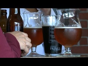 Mexican drinkers say cheers to micro-brewed beers