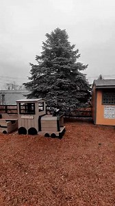 3.9K views · 32 reactions | Today is a bittersweet day as we say...