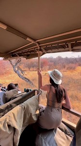 Everything in Africa bites, but the safari bug is worst of all. 📍 Okonjima Nature Reserve, Namibia 🇳🇦 🎥 @izabel.philippa | African Travel, Inc