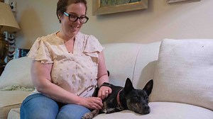 Support Louisville rescue animals with 2024 Kentucky Derby fashion event.