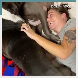 281K views · 344 reactions | This is pure joy! #dogs #kisses #hugs | Poke My Heart | Facebook