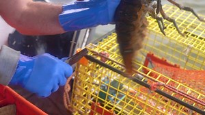 ENTANGLED is an award-winning, feature-length film about how climate...