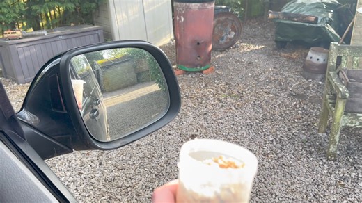 Bobbin this morning was patiently waiting on my gatepost for my return lol but a bit of a surprise for me she has a boyfriend ! | Villager Jim