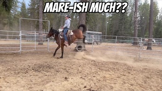 The Rare Buckaroo on TikTok