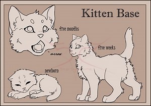 Kitten Base Feral Cat Warrior Cats Feline Lineart Base Pack Psd & Png - Etsy